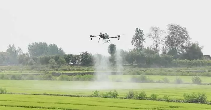 Young Chinese farmer adopts intelligent tech for agricultural production