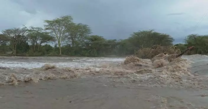 Persistent rainfall bursts riverbank, disrupts tourism in Maasai Mara Wildlife Reserve