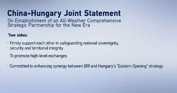 China, Hungary announce all-weather comprehensive strategic partnership for new era