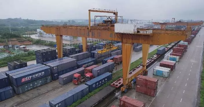China-Vietnam freight trains see surge in cargo volume