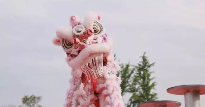 Dazzling dragon, lion dance contest staged in ancient Chinese town