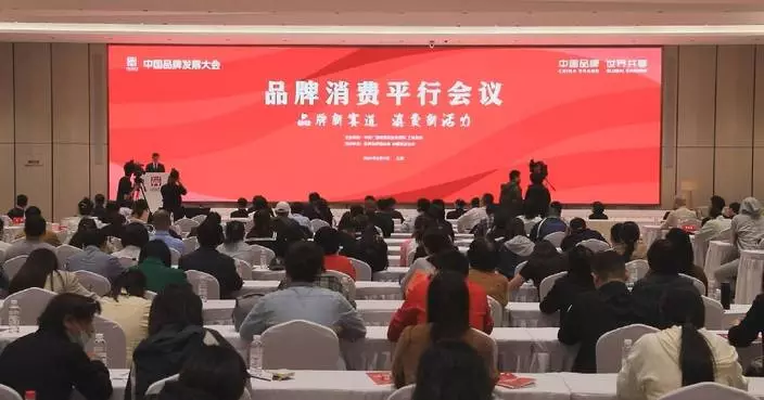 Parallel session of 2024 China Brand Development Conference starts