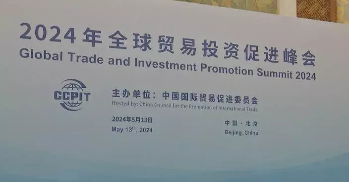 Global Trade, Investment Promotion Summit 2024 held in Beijing