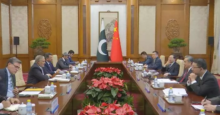 Chinese foreign minister holds talks with visiting Pakistani counterpart