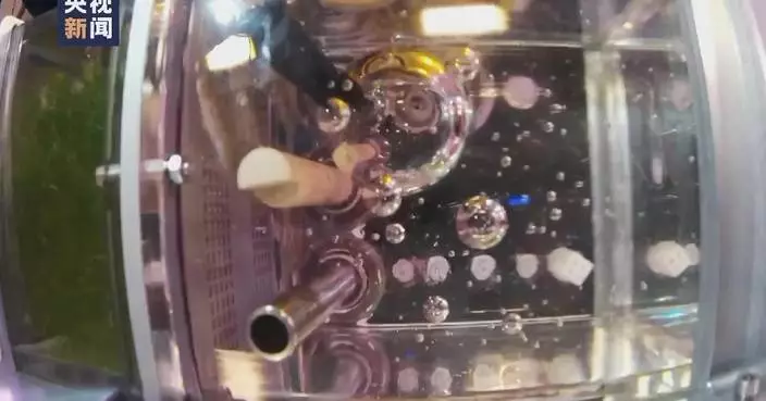 Zebrafish in good conditions after staying 20 days in China’s space station