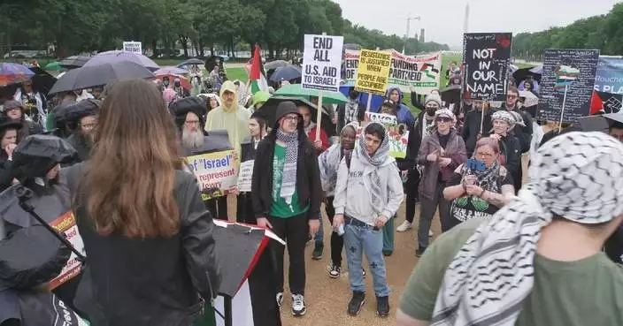Pro-Palestinian protesters rally in Washington to mark Nakba