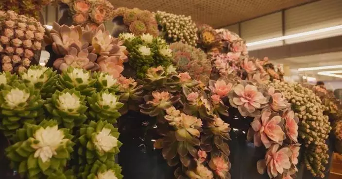 Innovative business models contribute to flower market boom in Kunming