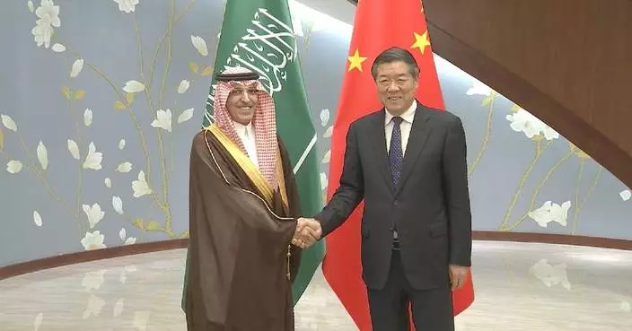 Chinese vice premier meets Saudi finance minister