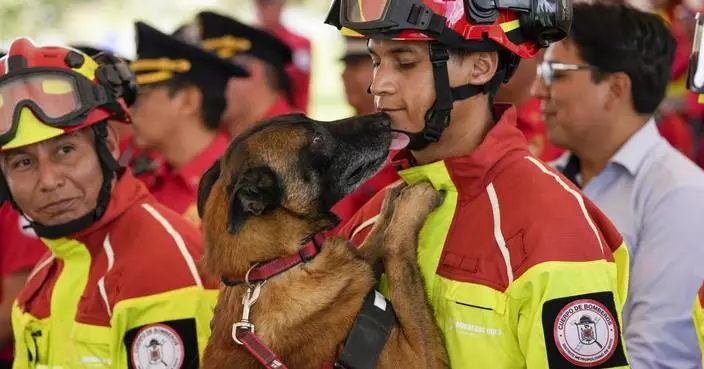 5 firefighter dogs who rescued people from natural disasters are honored in Ecuador as they retire
