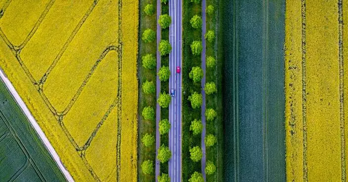 An AP photographer dazzles with a drone's view of colorful fields. Don't miss the red car