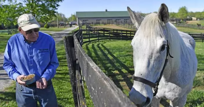 For ex-Derby winner Silver Charm, it&#8217;s a life of leisure and Old Friends at Kentucky retirement farm