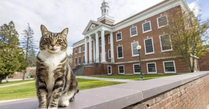 A college puts the &#8216;cat&#8217; into &#8216;education&#8217; by giving Max an honorary &#8216;doctor of litter-ature&#8217; degree