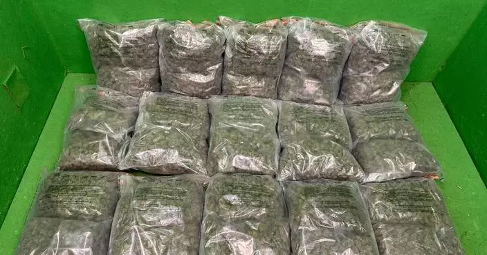 Hong Kong Customs seizes suspected cannabis buds worth about $4 million