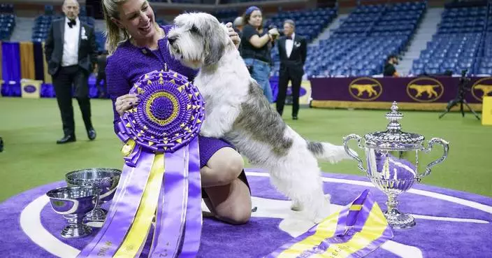 Dog Show 101: What&#8217;s what at the Westminster Kennel Club