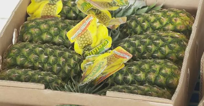 Closer trade ties bring more Peruvian fruits to Chinese consumers