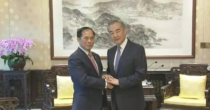 Chinese FM meets with Vietnamese counterpart on bilateral ties