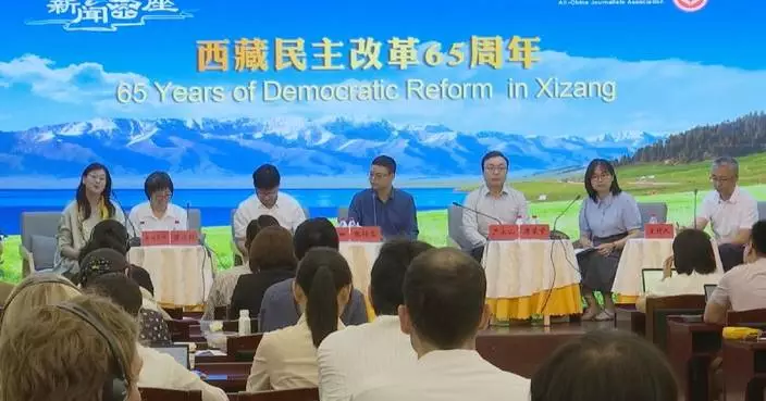 Xizang sees significant progress since democratic reform: experts