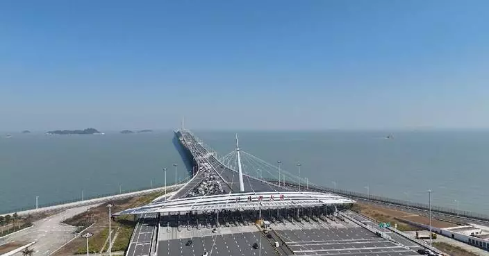 Hong Kong-Zhuhai-Macao Bridge handles 968,000 vehicle passages since its launch