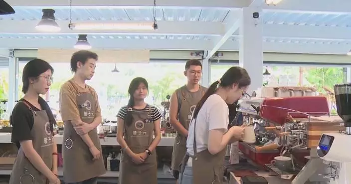 China&#8217;s coffee training market booms as demand for specialized talent surges
