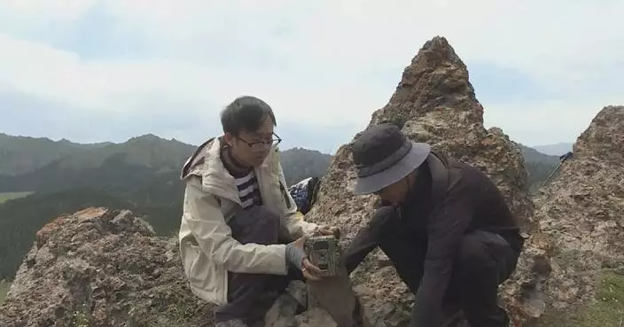 Researchers share methods used in wildlife survey in Tianshan Mountains