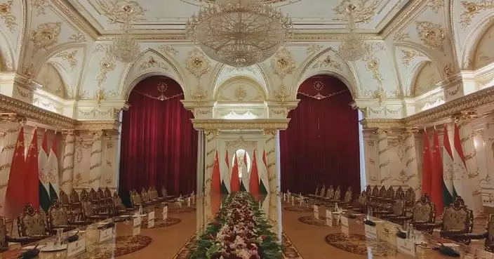 Chinese, Tajik presidents to hold large-group talks in Dushanbe