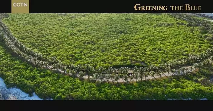 Eco-protection efforts turn barren island into green treasure in South China Sea