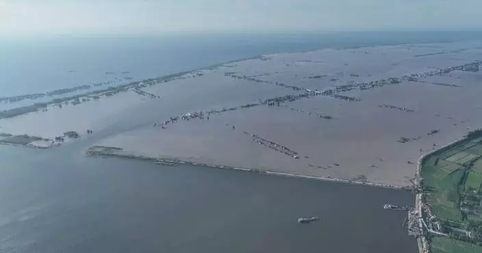All-out rescue, relief work underway after dike breach in central China