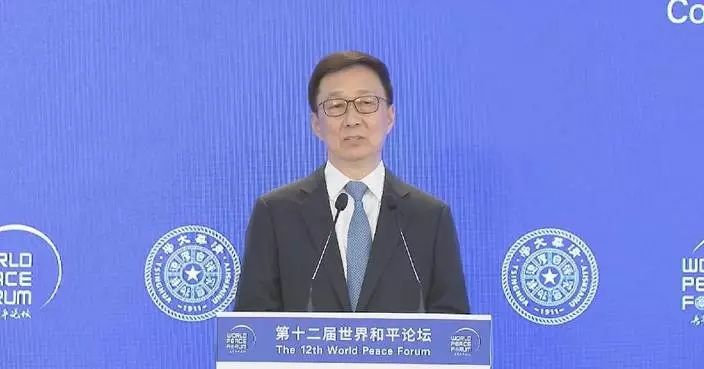 Chinese vice president addresses 12th World Peace Forum