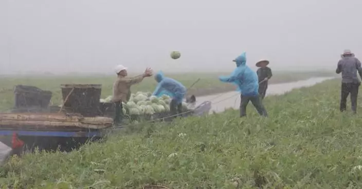 Farmers in Zhejiang get poised for approaching Typhoon Gaemi