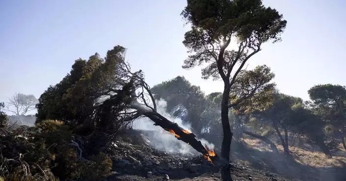 Firefighters tackle blaze on Greek island of Chios as premier warns of &#8216;dangerous summer&#8217;