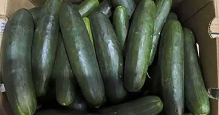 Untreated water tied to salmonella outbreak in cucumbers that sickened 450 people in US