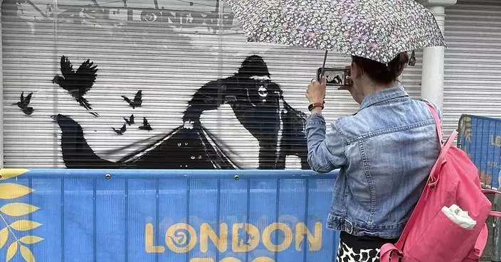 The paint is dry on Banksy&#8217;s animal-themed street art that appeared across London over 9 days