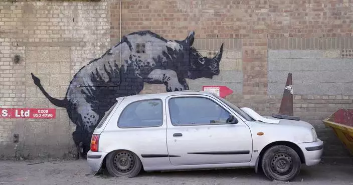 Banksy unveils new rhino art in an animal-themed collection that has popped up across London