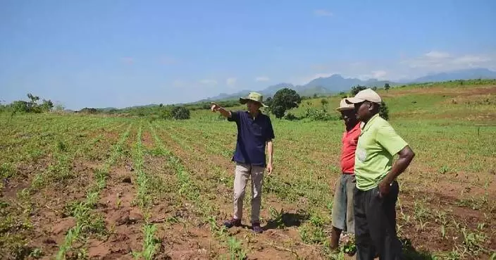 Chinese team helps develop agriculture in Tanzania through soybean project