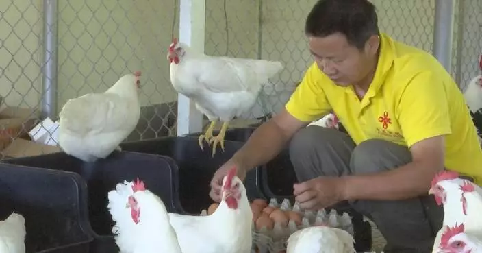 China aid program boosts food productivity in Tonga