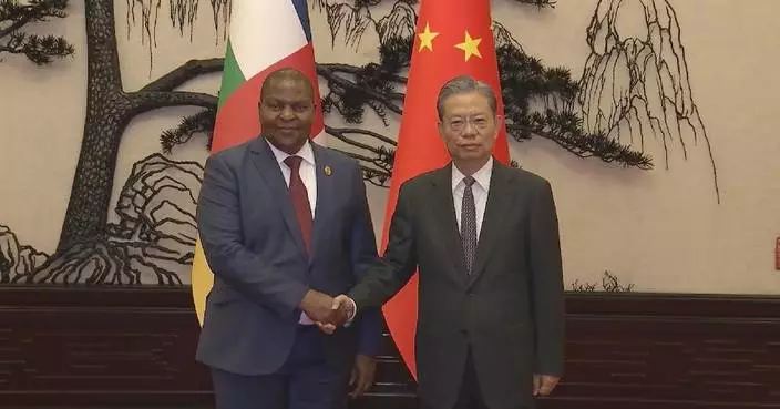 China&#8217;s top legislator meets Central African Republic president