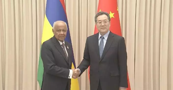 Chinese vice premier meets Mauritian vice president