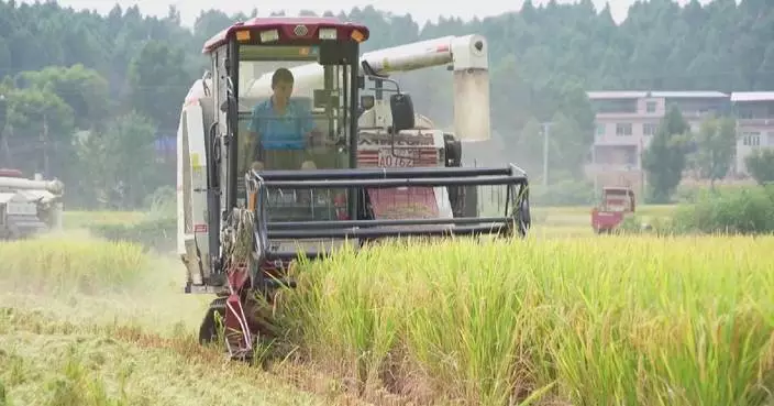 New methods introduced to secure autumn harvest in China