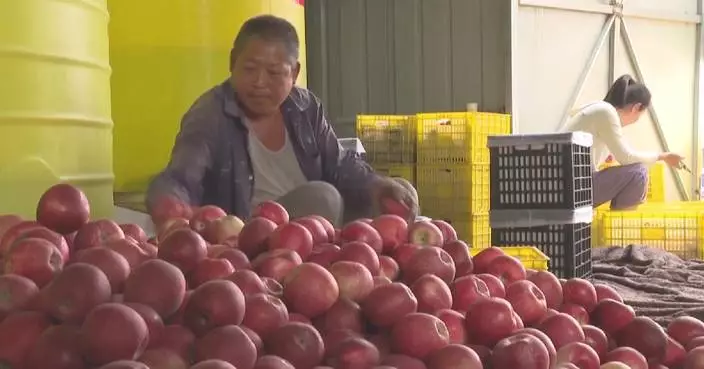 Xi learns about development of modern fruit industry in Tianshui