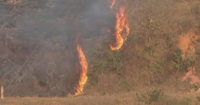 Sao Paulo wildfires affect health of local residents, cause economic losses