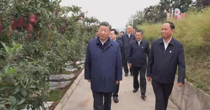 Xi&#8217;s visit encourages apple growers in Gansu to develop modern fruit industry