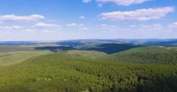 Decades of afforestation efforts transforms once-barren northeast county from desert into oasis