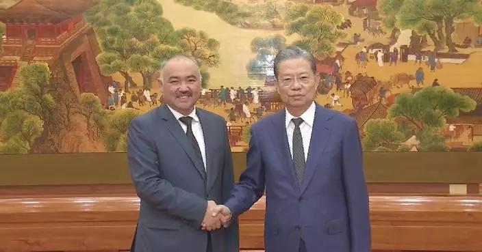 China's top legislator meets Kyrgyz parliament speaker