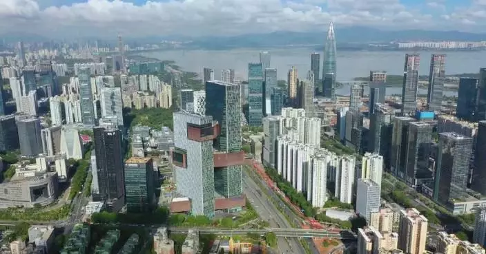 Guangdong-Hong Kong-Macao Greater Bay Area makes steady progress in economy, connectivity: data