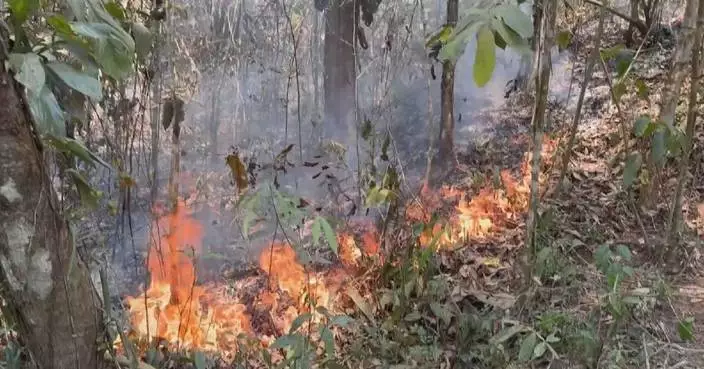 Drought, windy weather worsen wildfire in Brazil's Mato Grosso