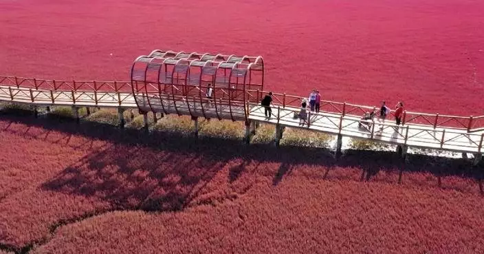 Red mudflats, blue rivers form facisnating autumn scenery in northeast China&#8217;s Liaoning