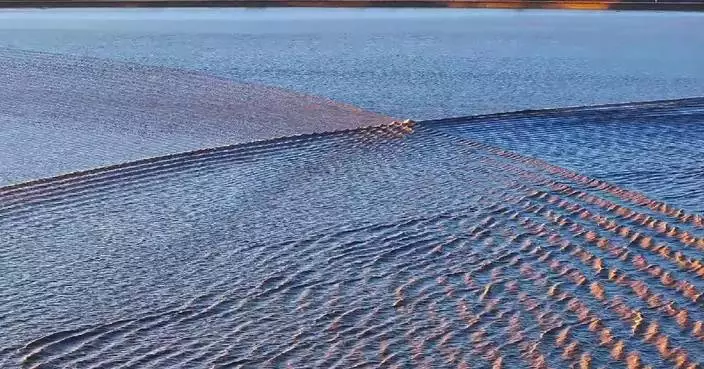 Enthusiasts flock to capture spectacular scenes of Qiantang River tidal bores