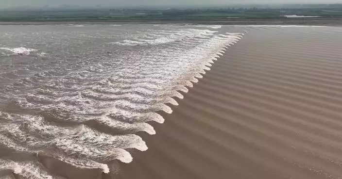 Magnificent Qiantang River tidal bore in east China city amazes holidaymakers