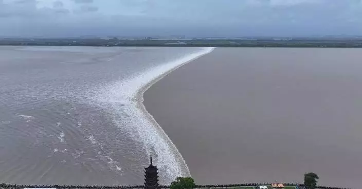 Typhoon intensifies roaring tides of Qiantang River, creating dramatic natural spectacle