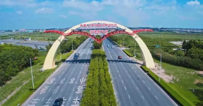 Streamlined clearance at Shanghai Free Trade Zone sets benchmark for efficiency